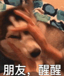 微信近期恶搞斗图表情包2019/3/4