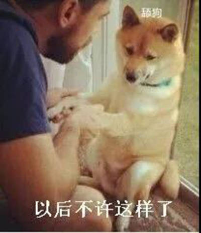 微信恶搞狗表情包