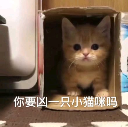 微信滑稽傻屌群聊撕逼斗图表情包