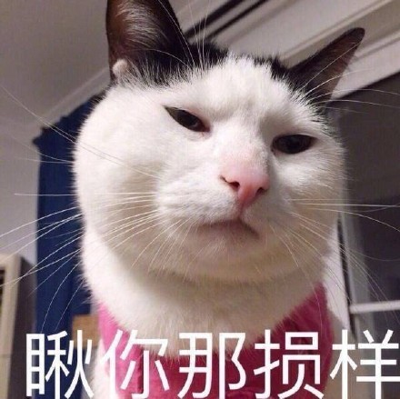 微信恶搞蠢萌喵星人表情包