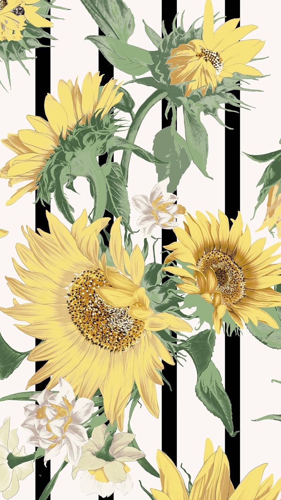 微信好看唯美简约聊天背景