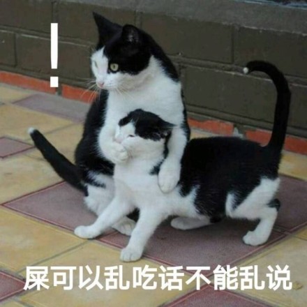 微信恶搞蠢萌喵星人表情包