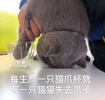 微信近期恶搞斗图表情包2019/3/4