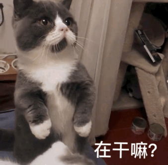 微信恶搞蠢萌喵星人表情包