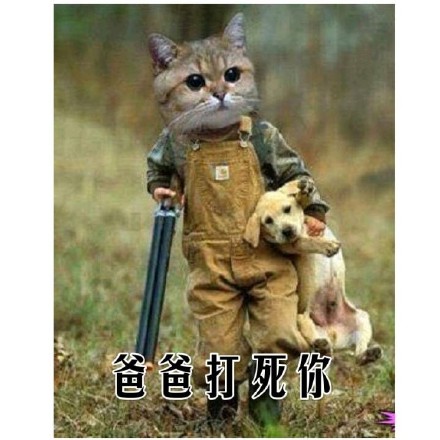 微信可爱顽皮喵星人表情包