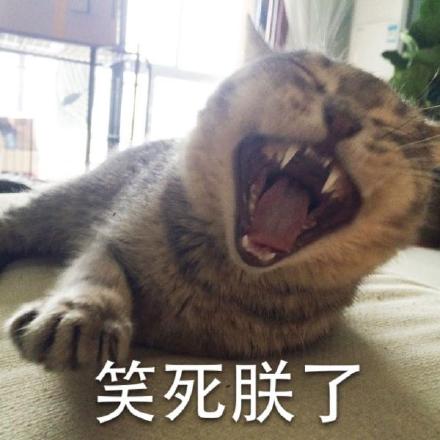 微信可爱顽皮喵星人表情包