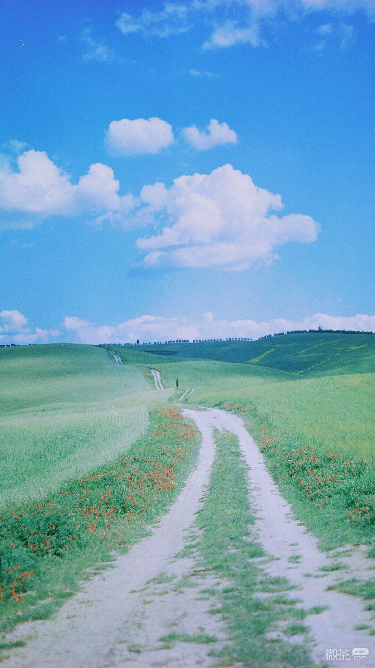 微信小清新风景静物聊天背景