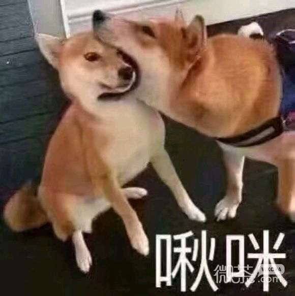 微信滑稽傻屌群聊撕逼斗图表情包