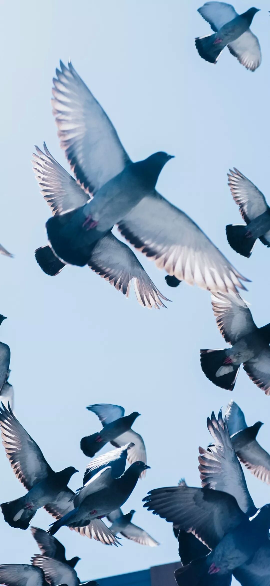 微信唯美清新梦幻聊天背景