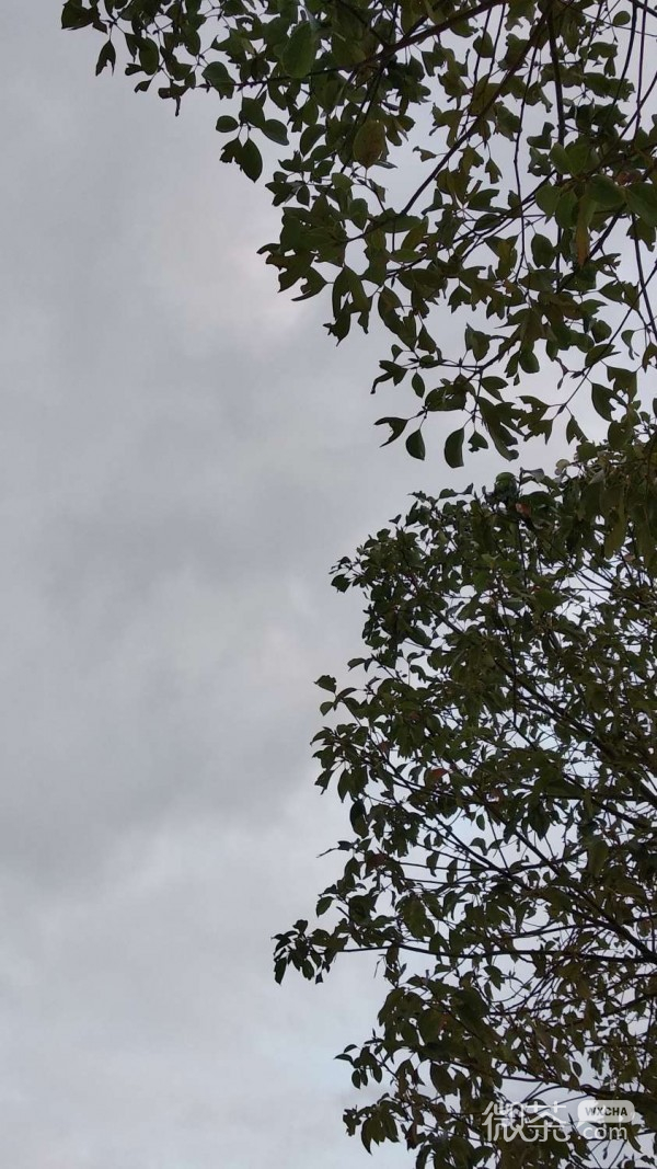 微信唯美梦幻月空聊天背景
