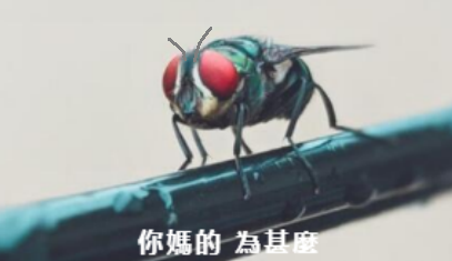 微信近期斗图恶搞表情包2019/3/5