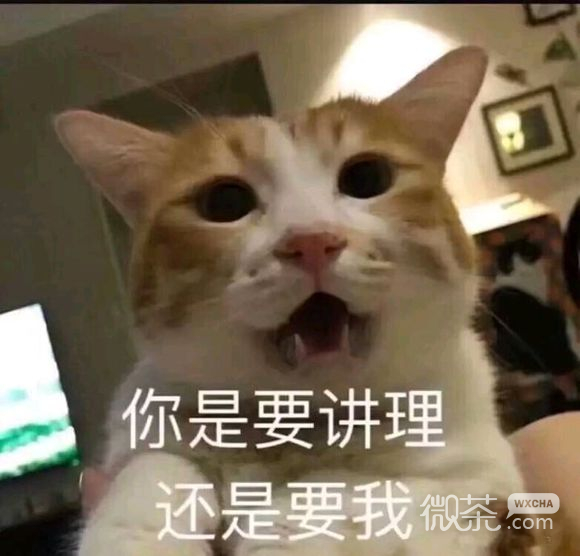 微信近期斗图恶搞表情包2019/3/5