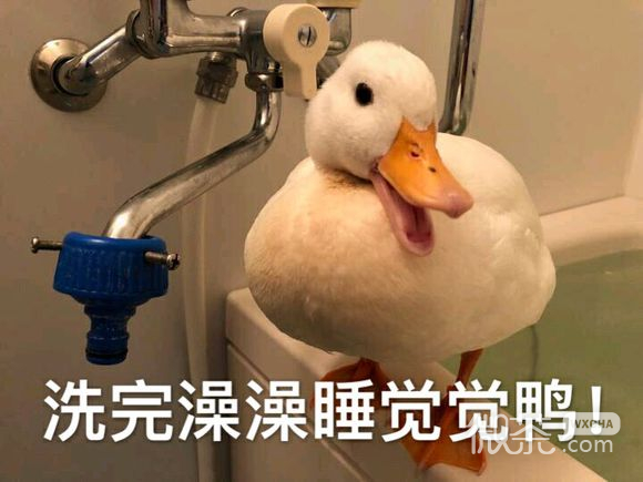 微信爆笑调皮群聊表情包