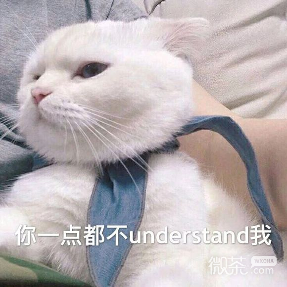 微信爆笑调皮群聊表情包
