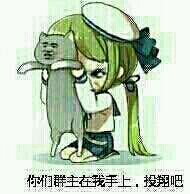 微信搞怪傻屌逗比斗图表情包