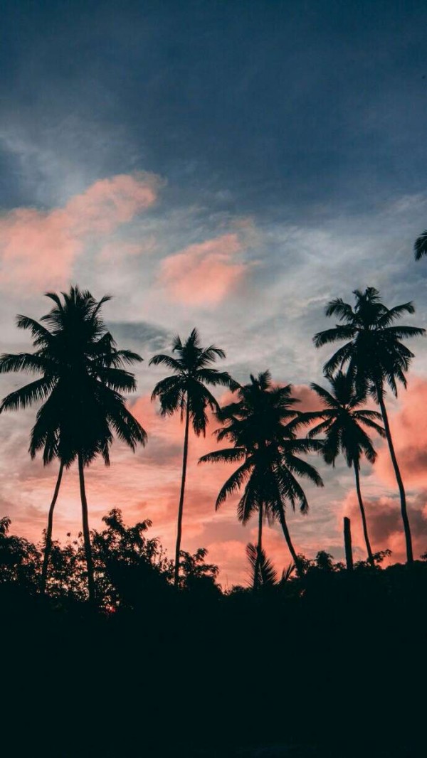 微信唯美清新梦幻聊天背景