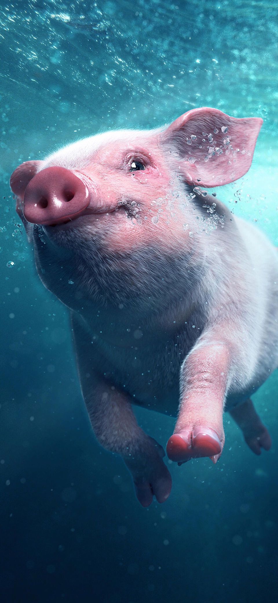 微信唯美清新梦幻聊天背景