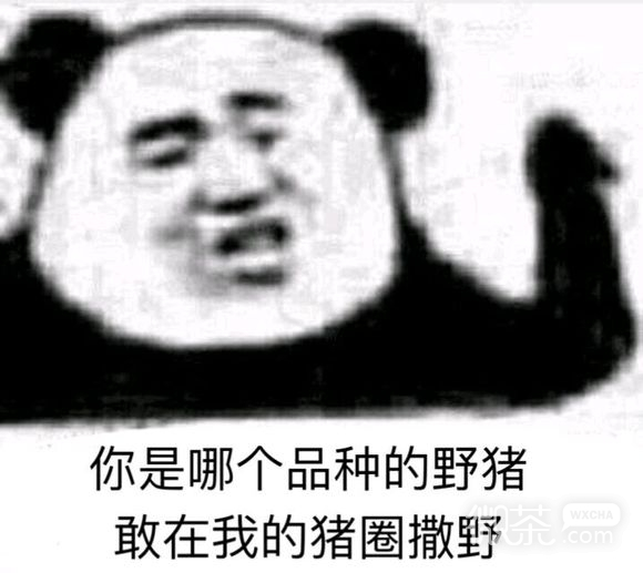 微信近期斗图恶搞表情包2019/3/5