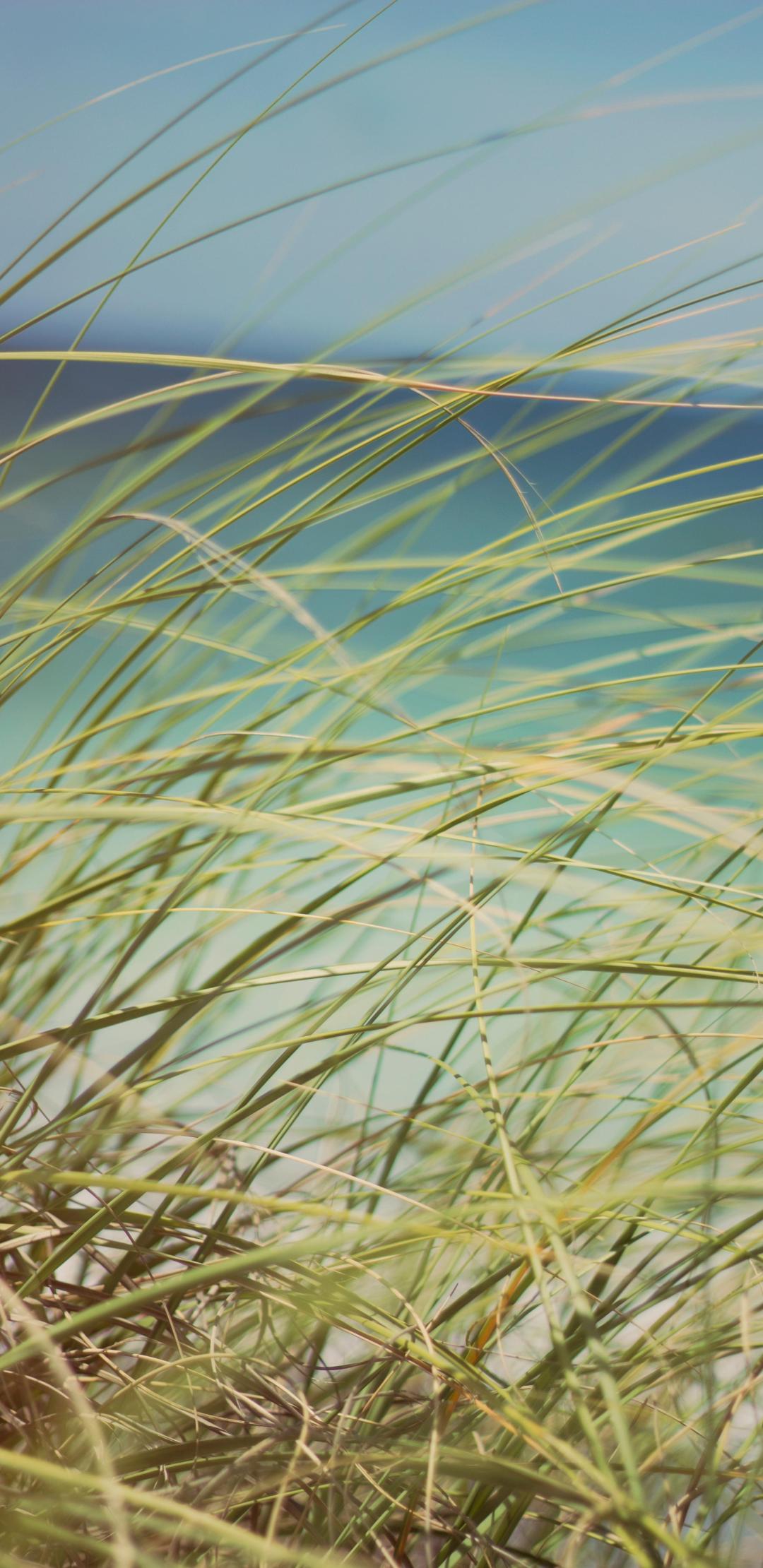 微信唯美清新梦幻聊天背景