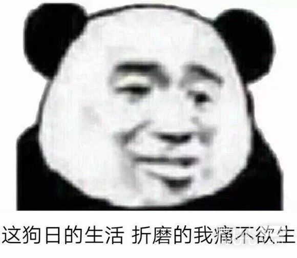 微信近期斗图恶搞表情包2019/3/5