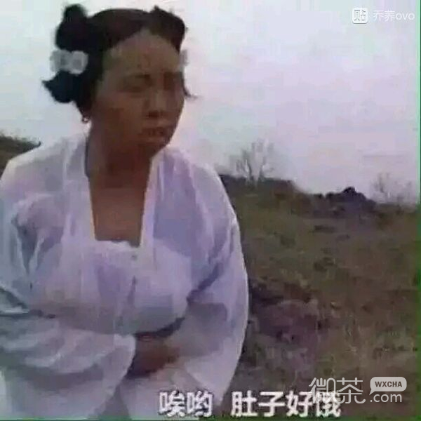 微信爆笑套系群聊傻屌杂图斗图表情包