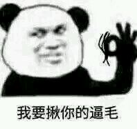 微信欢乐搞怪群聊斗图表情包