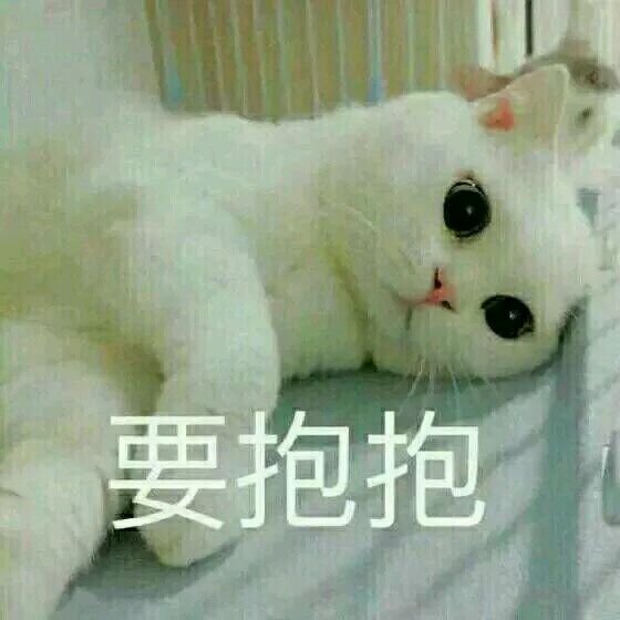 傻屌爆笑搞怪微信动态群聊杂图表情包