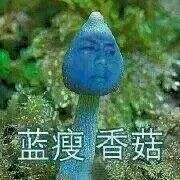 微信爆笑套系群聊傻屌杂图斗图表情包