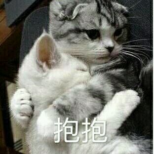 傻屌爆笑搞怪微信动态群聊杂图表情包