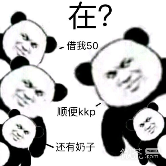 维系爆笑熊猫头撕逼斗图表情包