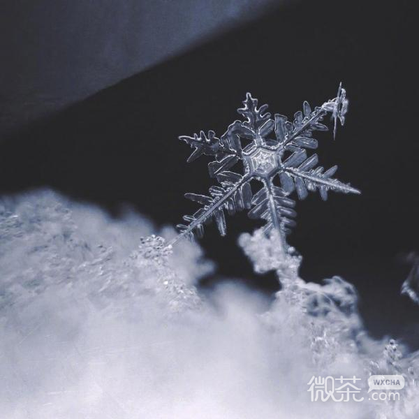 微信唯美雪花图片