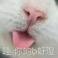 微信恶搞金馆长撕逼群聊斗图表情包