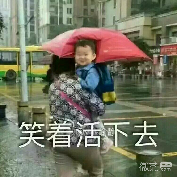 微信爆笑套系群聊傻屌杂图斗图表情包