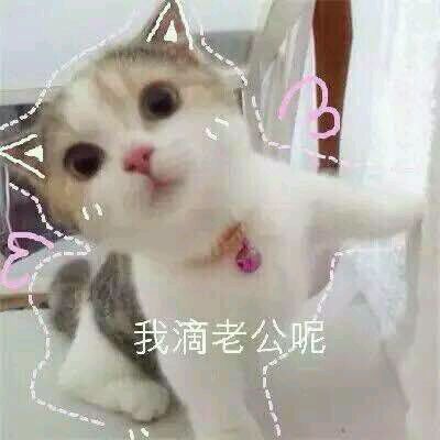 微信搞笑逗比群聊杂图斗图表情包