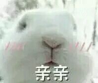 微信恶搞金馆长撕逼群聊斗图表情包