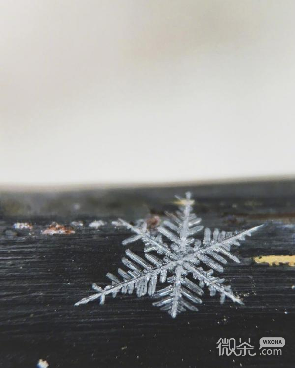 微信唯美雪花图片