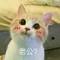微信搞笑逗比群聊杂图斗图表情包