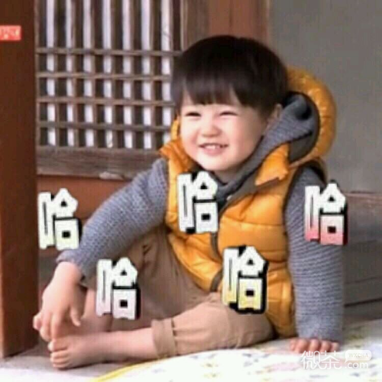 傻屌爆笑搞怪微信动态群聊杂图表情包