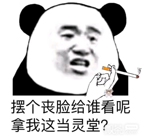 维系爆笑熊猫头撕逼斗图表情包