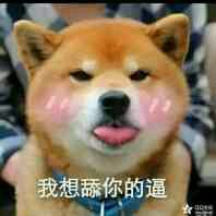 群聊傻屌杂图斗图微信表情包
