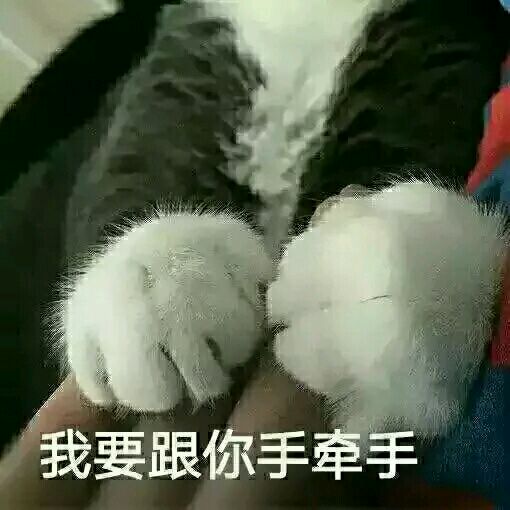 傻屌爆笑搞怪微信动态群聊杂图表情包