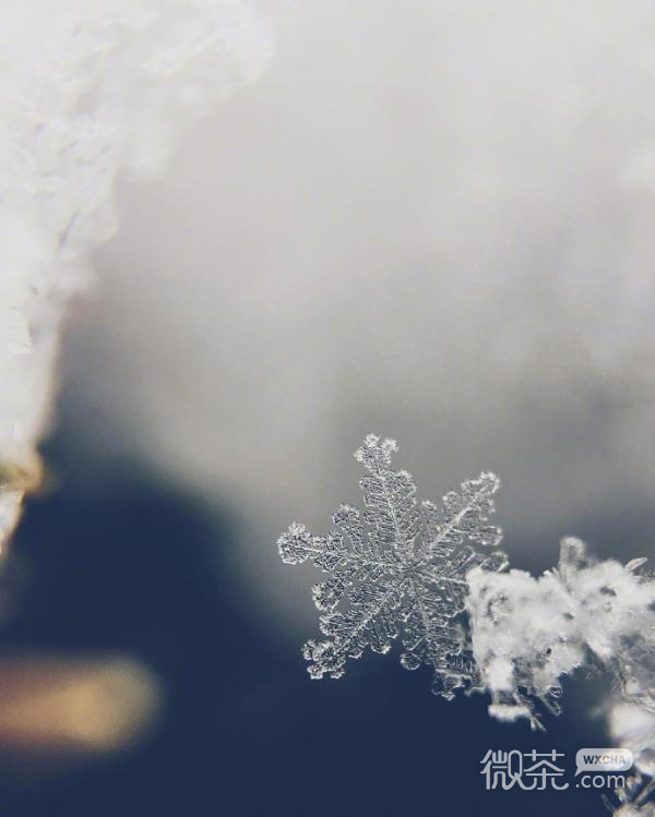 微信唯美雪花图片