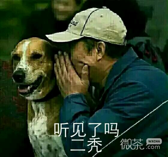群聊傻屌杂图斗图微信表情包