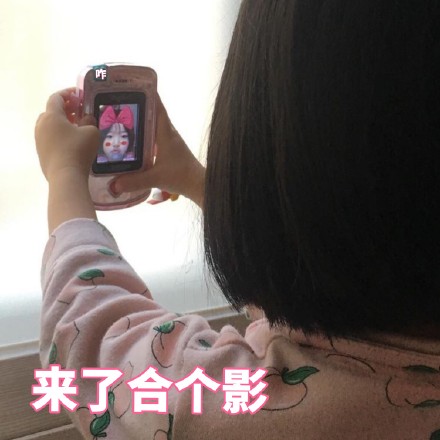 权律二微信恶搞GIF斗图表情包