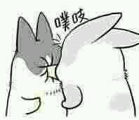 微信爆笑套系群聊傻屌杂图斗图表情包