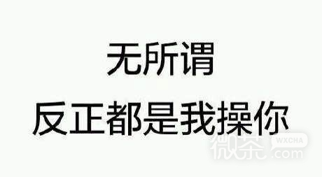 群聊傻屌杂图斗图微信表情包
