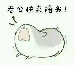 微信欢乐搞怪群聊斗图表情包