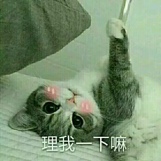 微信恶搞金馆长撕逼群聊斗图表情包