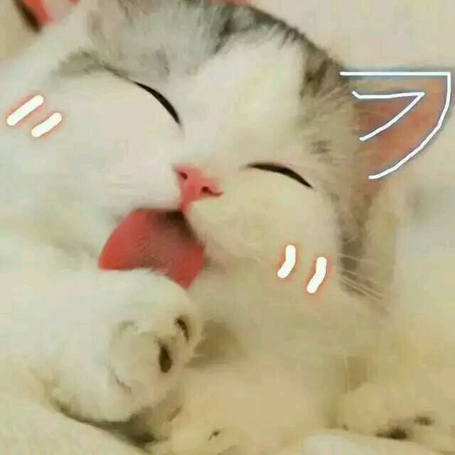 微信恶搞搞怪傻屌群聊撕逼杂图斗图表情包