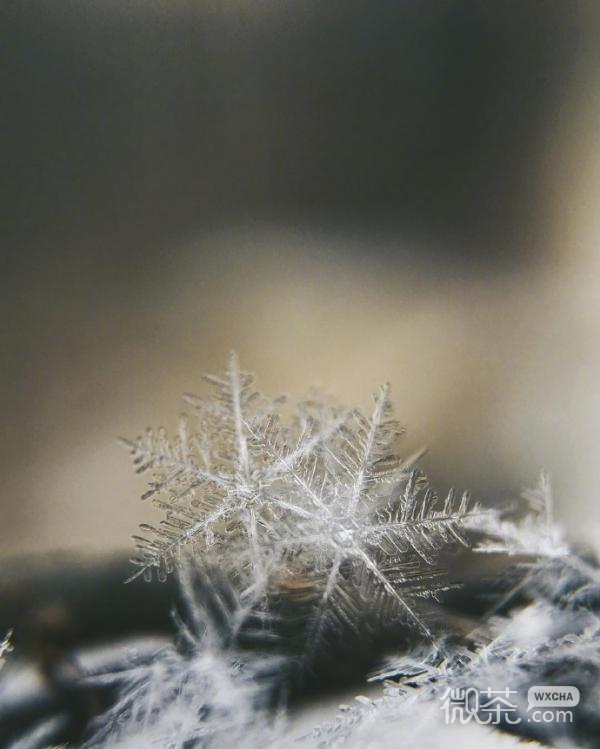 微信唯美雪花图片